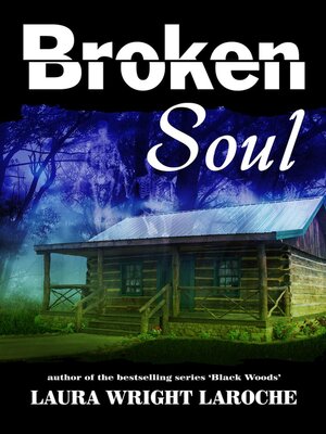 cover image of Broken Soul